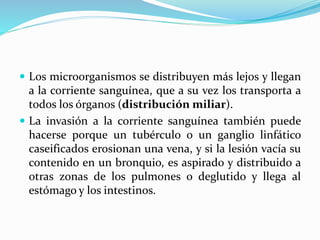  Los microorganismos se distribuyen más lejos y llegan
a la corriente sanguínea, que a su vez los transporta a
todos los órganos (distribución miliar).
 La invasión a la corriente sanguínea también puede
hacerse porque un tubérculo o un ganglio linfático
caseificados erosionan una vena, y si la lesión vacía su
contenido en un bronquio, es aspirado y distribuido a
otras zonas de los pulmones o deglutido y llega al
estómago y los intestinos.
 