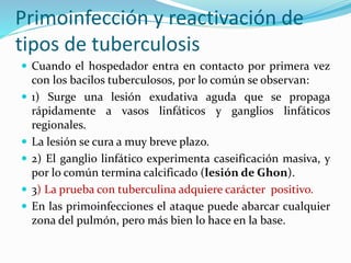 Primoinfección y reactivación de
tipos de tuberculosis
 Cuando el hospedador entra en contacto por primera vez
con los bacilos tuberculosos, por lo común se observan:
 1) Surge una lesión exudativa aguda que se propaga
rápidamente a vasos linfáticos y ganglios linfáticos
regionales.
 La lesión se cura a muy breve plazo.
 2) El ganglio linfático experimenta caseificación masiva, y
por lo común termina calcificado (lesión de Ghon).
 3) La prueba con tuberculina adquiere carácter positivo.
 En las primoinfecciones el ataque puede abarcar cualquier
zona del pulmón, pero más bien lo hace en la base.
 