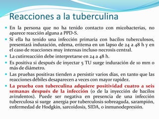 Reacciones a la tuberculina
 En la persona que no ha tenido contacto con micobacterias, no
aparece reacción alguna a PPD-S.
 Si ella ha tenido una infección primaria con bacilos tuberculosos,
presentará induración, edema, eritema en un lapso de 24 a 48 h y en
el caso de reacciones muy intensas incluso necrosis central.
 La cutirreacción debe interpretarse en 24 a 48 h.
 Es positiva si después de inyectar 5 TU surge induración de 10 mm o
más de diámetro.
 Las pruebas positivas tienden a persistir varios días, en tanto que las
reacciones débiles desaparecen a veces con mayor rapidez.
 La prueba con tuberculina adquiere positividad cuatro a seis
semanas después de la infección (o de la inyección de bacilos
avirulentos). Puede ser negativa en presencia de una infección
tuberculosa si surge anergia por tuberculosis sobreaguda, sarampión,
enfermedad de Hodgkin, sarcoidosis, SIDA, o inmunodepresión.
 