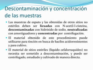 Descontaminación y concentración
de las muestras
 Las muestras de esputo y las obtenidas de otros sitios no
estériles deben ser licuadas con N-acetil-l-cisteína,
descontaminadas con hidróxido de sodio, neutralizadas
con amortiguadores y concentradas por centrifugación.
 El material obtenido de este procedimiento puede
utilizarse para tinción en busca de bacilos acidorresistentes
y para cultivo.
 El material de sitios estériles (líquido cefalorraquídeo) no
necesita ser sometido a descontaminación, y puede ser
centrifugado, estudiado y cultivado de manera directa.
 