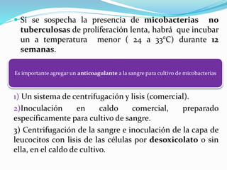  Si se sospecha la presencia de micobacterias no
tuberculosas de proliferación lenta, habrá que incubar
un a temperatura menor ( 24 a 33°C) durante 12
semanas.
1) Un sistema de centrifugación y lisis (comercial).
2)Inoculación en caldo comercial, preparado
específicamente para cultivo de sangre.
3) Centrifugación de la sangre e inoculación de la capa de
leucocitos con lisis de las células por desoxicolato o sin
ella, en el caldo de cultivo.
Es importante agregar un anticoagulante a la sangre para cultivo de micobacterias
 