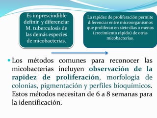  Los métodos comunes para reconocer las
micobacterias incluyen observación de la
rapidez de proliferación, morfología de
colonias, pigmentación y perfiles bioquímicos.
Estos métodos necesitan de 6 a 8 semanas para
la identificación.
Es imprescindible
definir y diferenciar
M. tuberculosis de
las demás especies
de micobacterias.
La rapidez de proliferación permite
diferenciar entre microorganismos
que proliferan en siete días o menos
(crecimiento rápido) de otras
micobacterias.
 