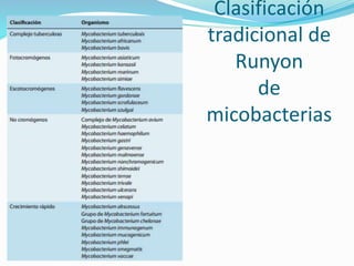 Clasificación
tradicional de
Runyon
de
micobacterias
 