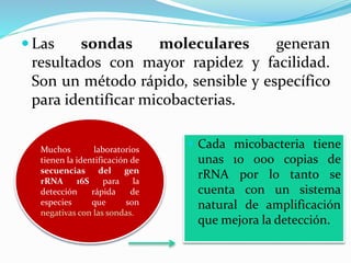  Las sondas moleculares generan
resultados con mayor rapidez y facilidad.
Son un método rápido, sensible y específico
para identificar micobacterias.
Muchos laboratorios
tienen la identificación de
secuencias del gen
rRNA 16S para la
detección rápida de
especies que son
negativas con las sondas.
 Cada micobacteria tiene
unas 10 000 copias de
rRNA por lo tanto se
cuenta con un sistema
natural de amplificación
que mejora la detección.
 