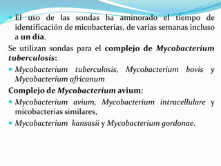  El uso de las sondas ha aminorado el tiempo de
identificación de micobacterias, de varias semanas incluso
a un día.
Se utilizan sondas para el complejo de Mycobacterium
tuberculosis:
 Mycobacterium tuberculosis, Mycobacterium bovis y
Mycobacterium africanum
Complejo de Mycobacterium avium:
 Mycobacterium avium, Mycobacterium intracellulare y
micobacterias similares,
 Mycobacterium kansasii y Mycobacterium gordonae.
 