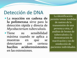 Detección de DNA
 La reacción en cadena de
la polimerasa sirve para la
detección rápida y directa de
Mycobacterium tuberculosis.
 Tiene su sensibilidad
máxima cuando se aplica a
muestras en que se
detectaron con certeza
bacilos acidorresistentes
en las extensiones.
La identificación
permite tomar medidas
de rastreo de la
transmisión de una
persona a otra, el
análisis de brotes de
tuberculosis y la
demostración de
reactivación y no de
reinfección de
pacientes individuales.
 