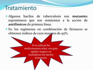 Tratamiento
 Algunos bacilos de tuberculosis son mutantes
espontáneos que son resistentes a la acción de
antifímicos de primera línea.
 En los regímenes en combinación de fármacos se
obtienen índices de cura mayores de 95%.
Si se utilizan los
medicamentos solos, con gran
rapidez surgen y se
multiplican los bacilos
resistentes.
 