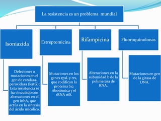La resistencia es un problema mundial
Isoniazida
Deleciones o
mutaciones en el
gen de catalasa-
peroxidasa (katG);
Esta resistencia se
ha vinculado con
alteraciones en el
gen inhA, que
actúa en la síntesis
del ácido micólico.
Estreptomicina
Mutaciones en los
genes rpsL y rrs,
que codifican la
proteína S12
ribosómica y el
rRNA 16S.
Rifampicina
Alteraciones en la
subunidad b de la
polimerasa de
RNA.
Fluoroquinolonas
Mutaciones en gen
de la girasa de
DNA.
 