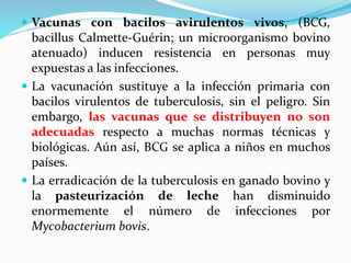  Vacunas con bacilos avirulentos vivos, (BCG,
bacillus Calmette-Guérin; un microorganismo bovino
atenuado) inducen resistencia en personas muy
expuestas a las infecciones.
 La vacunación sustituye a la infección primaria con
bacilos virulentos de tuberculosis, sin el peligro. Sin
embargo, las vacunas que se distribuyen no son
adecuadas respecto a muchas normas técnicas y
biológicas. Aún así, BCG se aplica a niños en muchos
países.
 La erradicación de la tuberculosis en ganado bovino y
la pasteurización de leche han disminuido
enormemente el número de infecciones por
Mycobacterium bovis.
 