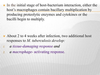  In the initial stage of host-bacterium interaction, either the
host’s macrophages contain bacillary multiplication by
producing proteolytic enzymes and cytokines or the
bacilli begin to multiply.
 About 2 to 4 weeks after infection, two additional host
responses to M. tuberculosis develop:
1. a tissue-damaging response and
2. a macrophage- activating response.
 
