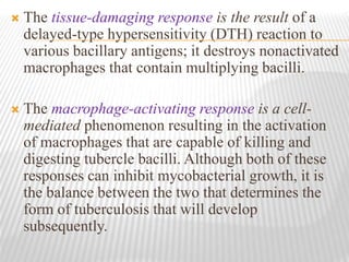  The tissue-damaging response is the result of a
delayed-type hypersensitivity (DTH) reaction to
various bacillary antigens; it destroys nonactivated
macrophages that contain multiplying bacilli.
 The macrophage-activating response is a cell-
mediated phenomenon resulting in the activation
of macrophages that are capable of killing and
digesting tubercle bacilli. Although both of these
responses can inhibit mycobacterial growth, it is
the balance between the two that determines the
form of tuberculosis that will develop
subsequently.
 