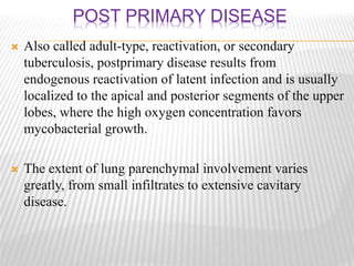 POST PRIMARY DISEASE
 Also called adult-type, reactivation, or secondary
tuberculosis, postprimary disease results from
endogenous reactivation of latent infection and is usually
localized to the apical and posterior segments of the upper
lobes, where the high oxygen concentration favors
mycobacterial growth.
 The extent of lung parenchymal involvement varies
greatly, from small infiltrates to extensive cavitary
disease.
 