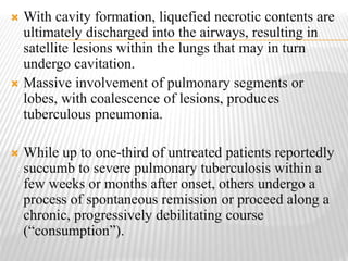  With cavity formation, liquefied necrotic contents are
ultimately discharged into the airways, resulting in
satellite lesions within the lungs that may in turn
undergo cavitation.
 Massive involvement of pulmonary segments or
lobes, with coalescence of lesions, produces
tuberculous pneumonia.
 While up to one-third of untreated patients reportedly
succumb to severe pulmonary tuberculosis within a
few weeks or months after onset, others undergo a
process of spontaneous remission or proceed along a
chronic, progressively debilitating course
(“consumption”).
 