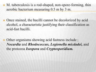  M. tuberculosis is a rod-shaped, non-spore-forming, thin
aerobic bacterium measuring 0.5 m by 3 m.
 Once stained, the bacilli cannot be decolorized by acid
alcohol, a characteristic justifying their classification as
acid-fast bacilli.
 Other organisms showing acid fastness include ;
Nocardia and Rhodococcus, Legionella micdadei, and
the protozoa Isospora and Cryptosporidium.
 