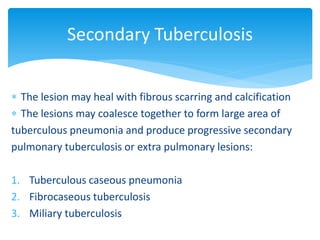  The lesion may heal with fibrous scarring and calcification
 The lesions may coalesce together to form large area of
tuberculous pneumonia and produce progressive secondary
pulmonary tuberculosis or extra pulmonary lesions:
1. Tuberculous caseous pneumonia
2. Fibrocaseous tuberculosis
3. Miliary tuberculosis
Secondary Tuberculosis
 