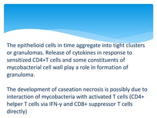 The epithelioid cells in time aggregate into tight clusters
or granulomas. Release of cytokines in response to
sensitized CD4+T cells and some constituents of
mycobacterial cell wall play a role in formation of
granuloma.
The development of caseation necrosis is possibly due to
interaction of mycobacteria with activated T cells (CD4+
helper T cells via IFN-γ and CD8+ suppressor T cells
directly)
 