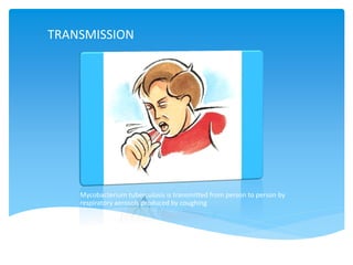 TRANSMISSION
Mycobacterium tuberculosis is transmitted from person to person by
respiratory aerosols produced by coughing
 