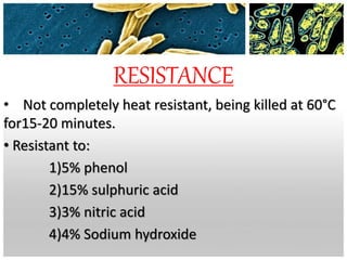 RESISTANCE
• Not completely heat resistant, being killed at 60°C
for15-20 minutes.
• Resistant to:
1)5% phenol
2)15% sulphuric acid
3)3% nitric acid
4)4% Sodium hydroxide
 