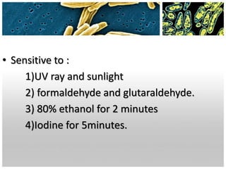 • Sensitive to :
1)UV ray and sunlight
2) formaldehyde and glutaraldehyde.
3) 80% ethanol for 2 minutes
4)Iodine for 5minutes.
 