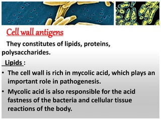 Cell wall antigens
They constitutes of lipids, proteins,
polysaccharides.
Lipids :
• The cell wall is rich in mycolic acid, which plays an
important role in pathogenesis.
• Mycolic acid is also responsible for the acid
fastness of the bacteria and cellular tissue
reactions of the body.
 