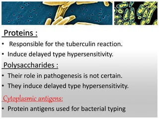 Proteins :
• Responsible for the tuberculin reaction.
• Induce delayed type hypersensitivity.
Polysaccharides :
• Their role in pathogenesis is not certain.
• They induce delayed type hypersensitivity.
Cytoplasmic antigens:
• Protein antigens used for bacterial typing
 