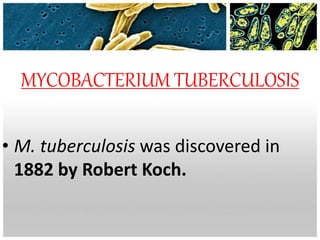 MYCOBACTERIUM TUBERCULOSIS
• M. tuberculosis was discovered in
1882 by Robert Koch.
 
