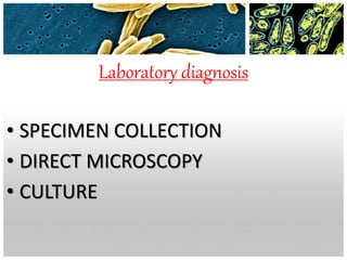 Laboratory diagnosis
• SPECIMEN COLLECTION
• DIRECT MICROSCOPY
• CULTURE
 