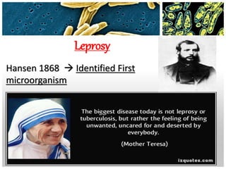 Leprosy
Hansen 1868  Identified First
microorganism
40
 