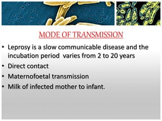 MODE OF TRANSMISSION
• Leprosy is a slow communicable disease and the
incubation period varies from 2 to 20 years
• Direct contact
• Maternofoetal transmission
• Milk of infected mother to infant.
 