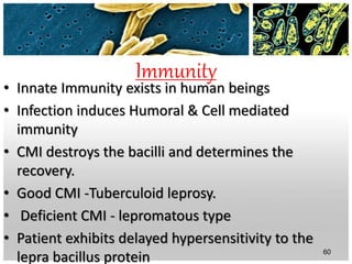 Immunity
• Innate Immunity exists in human beings
• Infection induces Humoral & Cell mediated
immunity
• CMI destroys the bacilli and determines the
recovery.
• Good CMI -Tuberculoid leprosy.
• Deficient CMI - lepromatous type
• Patient exhibits delayed hypersensitivity to the
lepra bacillus protein 60
 