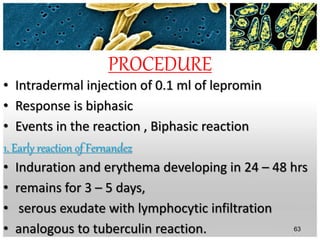 PROCEDURE
• Intradermal injection of 0.1 ml of lepromin
• Response is biphasic
• Events in the reaction , Biphasic reaction
1. Early reaction of Fernandez
• Induration and erythema developing in 24 – 48 hrs
• remains for 3 – 5 days,
• serous exudate with lymphocytic infiltration
• analogous to tuberculin reaction. 63
 