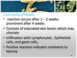 2.Late reaction of Mitsuda
• reaction occurs after 1 – 2 weeks.
prominent after 4 weeks
• Consists of indurated skin lesion which may
ulcerate
• Infiltration with Lymphocytes , Epitheloid
cells, and giant cells,
• Positive reaction indicates resistance to
leprosy
64
 