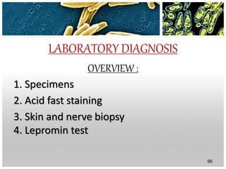 LABORATORY DIAGNOSIS
OVERVIEW :
1. Specimens
2. Acid fast staining
3. Skin and nerve biopsy
4. Lepromin test
66
 
