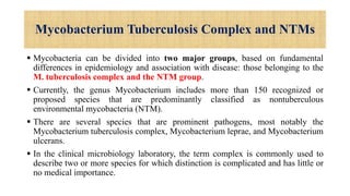 Mycobacterium Tuberculosis Complex and NTMs
 Mycobacteria can be divided into two major groups, based on fundamental
differences in epidemiology and association with disease: those belonging to the
M. tuberculosis complex and the NTM group.
 Currently, the genus Mycobacterium includes more than 150 recognized or
proposed species that are predominantly classified as nontuberculous
environmental mycobacteria (NTM).
 There are several species that are prominent pathogens, most notably the
Mycobacterium tuberculosis complex, Mycobacterium leprae, and Mycobacterium
ulcerans.
 In the clinical microbiology laboratory, the term complex is commonly used to
describe two or more species for which distinction is complicated and has little or
no medical importance.
 