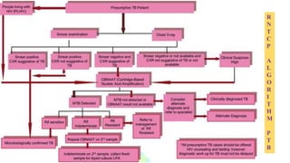 R
N
T
C
P
A
L
G
O
R
I
T
H
M
P
T
B
 