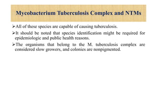 Mycobacterium Tuberculosis Complex and NTMs
All of these species are capable of causing tuberculosis.
It should be noted that species identification might be required for
epidemiologic and public health reasons.
The organisms that belong to the M. tuberculosis complex are
considered slow growers, and colonies are nonpigmented.
 