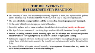 THE DELAYED-TYPE
HYPERSENSITIVITY REACTION
 In a minority of cases, the macrophage-activating response is weak, and mycobacterial growth
can be inhibited only by intensified DTH reactions, which lead to lung tissue destruction.
 The lesion tends to enlarge further, and the surrounding tissue is progressively damaged.
 At the center of the lesion, the caseous material liquefies.
 Bronchial walls as well as blood vessels are invaded and destroyed, and cavities are formed.
 The liquefied caseous material, containing large numbers of bacilli, is drained through bronchi.
 Within the cavity, tubercle bacilli multiply, spill into the airways, and are discharged into
the environment through expiratory maneuvers such as coughing and talking.
 In the early stages of infection, bacilli are usually transported by macrophages to regional lymph
nodes, from which they gain access to the bloodstream and disseminate widely throughout the
body.
 In young children with poor natural immunity, hematogenous dissemination may result in
fatal miliary tuberculosis or tuberculous meningitis.
 