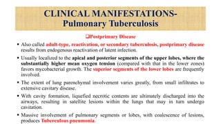 CLINICAL MANIFESTATIONS-
Pulmonary Tuberculosis
Postprimary Disease
 Also called adult-type, reactivation, or secondary tuberculosis, postprimary disease
results from endogenous reactivation of latent infection.
 Usually localized to the apical and posterior segments of the upper lobes, where the
substantially higher mean oxygen tension (compared with that in the lower zones)
favors mycobacterial growth. The superior segments of the lower lobes are frequently
involved.
 The extent of lung parenchymal involvement varies greatly, from small infiltrates to
extensive cavitary disease.
 With cavity formation, liquefied necrotic contents are ultimately discharged into the
airways, resulting in satellite lesions within the lungs that may in turn undergo
cavitation.
 Massive involvement of pulmonary segments or lobes, with coalescence of lesions,
produces Tuberculous pneumonia.
 