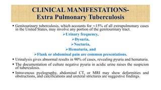 CLINICAL MANIFESTATIONS-
Extra Pulmonary Tuberculosis
 Genitourinary tuberculosis, which accounts for ∼15% of all extrapulmonary cases
in the United States, may involve any portion of the genitourinary tract.
Urinary frequency,
Dysuria,
Nocturia,
Hematuria, and
Flank or abdominal pain are common presentations.
 Urinalysis gives abnormal results in 90% of cases, revealing pyuria and hematuria.
 The documentation of culture negative pyuria in acidic urine raises the suspicion
of tuberculosis.
 Intravenous pyelography, abdominal CT, or MRI may show deformities and
obstructions, and calcifications and ureteral strictures are suggestive findings.
 