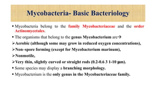 Mycobacteria- Basic Bacteriology
 Mycobacteria belong to the family Mycobacteriaceae and the order
Actinomycetales.
 The organisms that belong to the genus Mycobacterium are
Aerobic (although some may grow in reduced oxygen concentrations),
Non–spore forming (except for Mycobacterium marinum),
Nonmotile,
Very thin, slightly curved or straight rods (0.2-0.6 3 1-10 𝛍m).
 Some species may display a branching morphology.
 Mycobacterium is the only genus in the Mycobacteriaceae family.
 