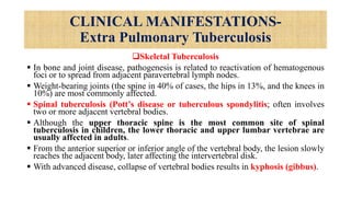 CLINICAL MANIFESTATIONS-
Extra Pulmonary Tuberculosis
Skeletal Tuberculosis
 In bone and joint disease, pathogenesis is related to reactivation of hematogenous
foci or to spread from adjacent paravertebral lymph nodes.
 Weight-bearing joints (the spine in 40% of cases, the hips in 13%, and the knees in
10%) are most commonly affected.
 Spinal tuberculosis (Pott’s disease or tuberculous spondylitis; often involves
two or more adjacent vertebral bodies.
 Although the upper thoracic spine is the most common site of spinal
tuberculosis in children, the lower thoracic and upper lumbar vertebrae are
usually affected in adults.
 From the anterior superior or inferior angle of the vertebral body, the lesion slowly
reaches the adjacent body, later affecting the intervertebral disk.
 With advanced disease, collapse of vertebral bodies results in kyphosis (gibbus).
 