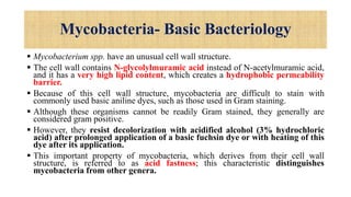 Mycobacteria- Basic Bacteriology
 Mycobacterium spp. have an unusual cell wall structure.
 The cell wall contains N-glycolylmuramic acid instead of N-acetylmuramic acid,
and it has a very high lipid content, which creates a hydrophobic permeability
barrier.
 Because of this cell wall structure, mycobacteria are difficult to stain with
commonly used basic aniline dyes, such as those used in Gram staining.
 Although these organisms cannot be readily Gram stained, they generally are
considered gram positive.
 However, they resist decolorization with acidified alcohol (3% hydrochloric
acid) after prolonged application of a basic fuchsin dye or with heating of this
dye after its application.
 This important property of mycobacteria, which derives from their cell wall
structure, is referred to as acid fastness; this characteristic distinguishes
mycobacteria from other genera.
 