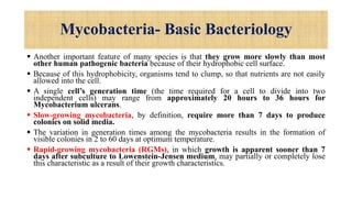 Mycobacteria- Basic Bacteriology
 Another important feature of many species is that they grow more slowly than most
other human pathogenic bacteria because of their hydrophobic cell surface.
 Because of this hydrophobicity, organisms tend to clump, so that nutrients are not easily
allowed into the cell.
 A single cell’s generation time (the time required for a cell to divide into two
independent cells) may range from approximately 20 hours to 36 hours for
Mycobacterium ulcerans.
 Slow-growing mycobacteria, by definition, require more than 7 days to produce
colonies on solid media.
 The variation in generation times among the mycobacteria results in the formation of
visible colonies in 2 to 60 days at optimum temperature.
 Rapid-growing mycobacteria (RGMs), in which growth is apparent sooner than 7
days after subculture to Lowenstein-Jensen medium, may partially or completely lose
this characteristic as a result of their growth characteristics.
 