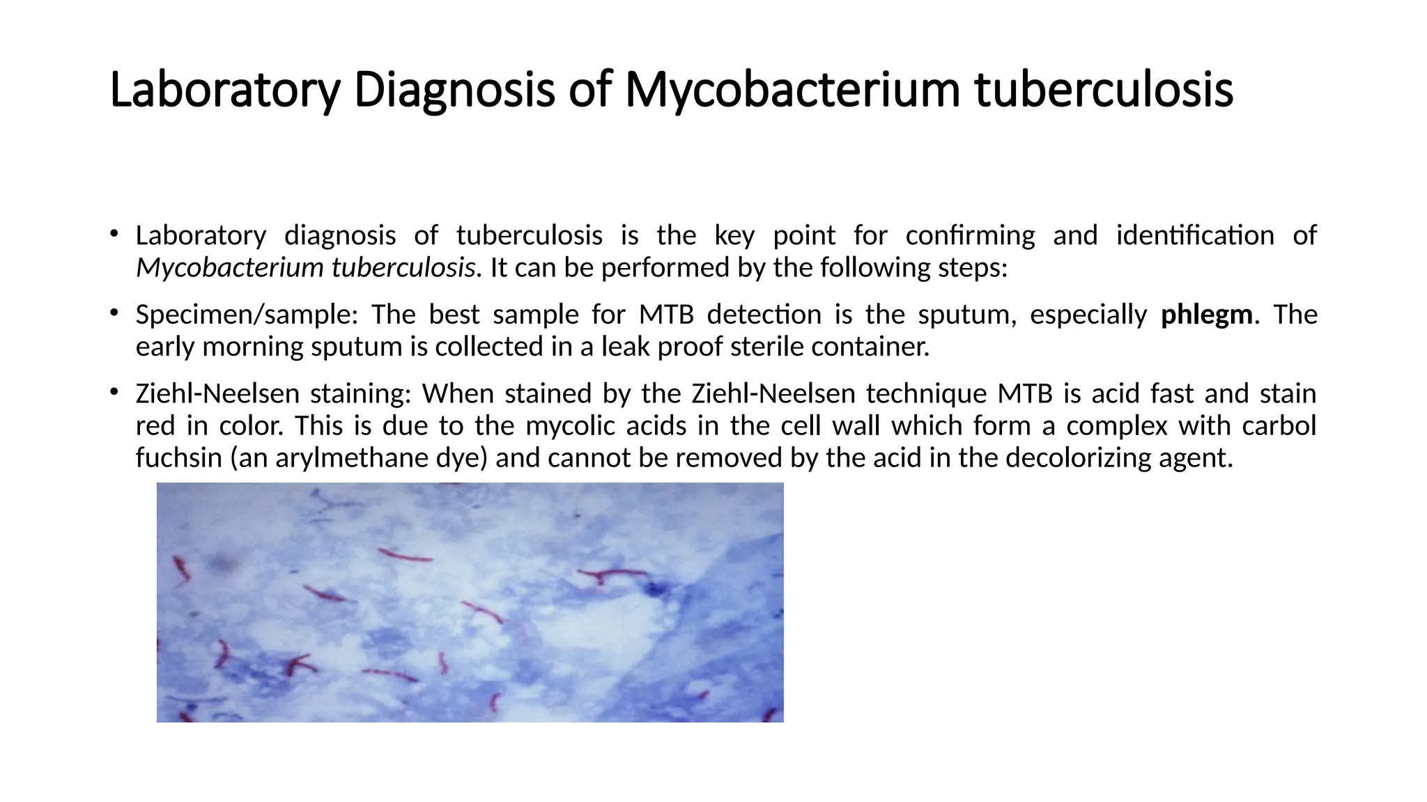 Laboratory Diagnosis of Mycobacterium tuberculosis
• Laboratory diagnosis of tuberculosis is the key point for confirming and identification of
Mycobacterium tuberculosis. It can be performed by the following steps:
• Specimen/sample: The best sample for MTB detection is the sputum, especially phlegm. The
early morning sputum is collected in a leak proof sterile container.
• Ziehl-Neelsen staining: When stained by the Ziehl-Neelsen technique MTB is acid fast and stain
red in color. This is due to the mycolic acids in the cell wall which form a complex with carbol
fuchsin (an arylmethane dye) and cannot be removed by the acid in the decolorizing agent.
 