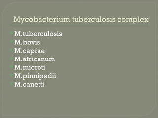 Mycobacterium tuberculosis complex
M.tuberculosis
M.bovis
M.caprae
M.africanum
M.microti
M.pinnipedii
M.canetti
 