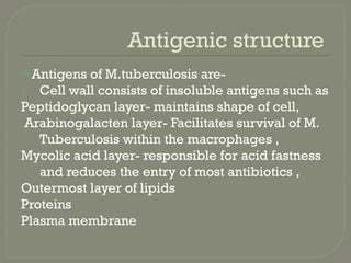 Antigenic structure
 Antigens of M.tuberculosis are-
1. Cell wall consists of insoluble antigens such as
Peptidoglycan layer- maintains shape of cell,
Arabinogalacten layer- Facilitates survival of M.
Tuberculosis within the macrophages ,
Mycolic acid layer- responsible for acid fastness
and reduces the entry of most antibiotics ,
Outermost layer of lipids
Proteins
Plasma membrane
 