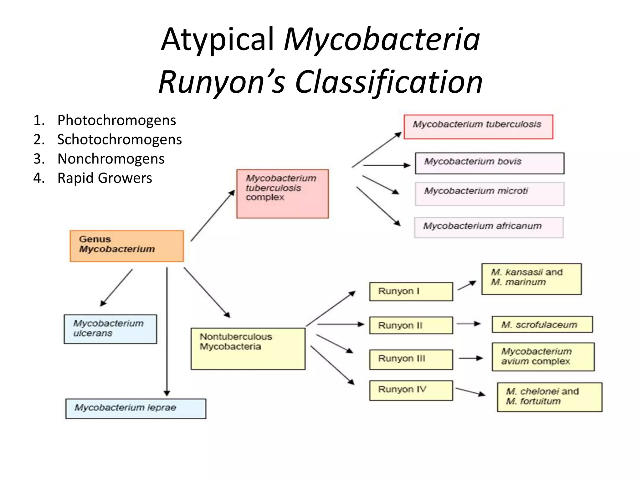 Mycobacterium tuberculosis and atypical mycobacteria | PPTX