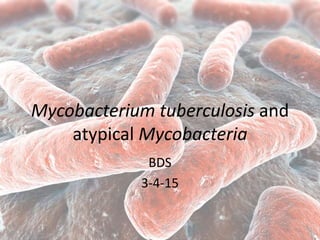 Mycobacterium tuberculosis and
atypical Mycobacteria
BDS
3-4-15
 