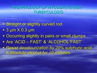 MORPHOLOGY OF MYCOBACTERIUM  TUBERCULOSIS Straight or slightly curved rod 3 µm X   0.3 µm Occurring slightly in pairs or small clumps Are ‘ACID – FAST’ & ‘ALCOHOL FAST’ Resist decolourization by 20% sulphuric acid & absolute alcohol for 10 minutes. 
