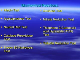 Biochemical Reactions: Niacin Test Arylsulphatase Test Neutral Red Test Catalase-Peroxidase Test Tween 80 Hydrolysis Test Amidase Test Nitrate Reduction Test Thiophene 2-Carboxylic acid Hydrazide (TCH) Test Tellurite Reduction Test 